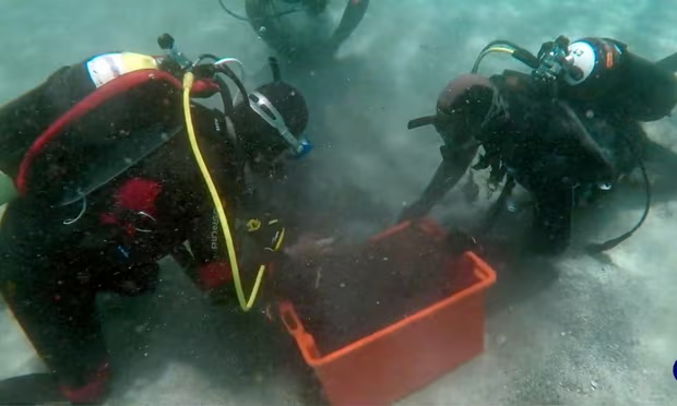 VietMelodic's tweet photo. @archeohistories An Italian diver's discovery off the Sardinian coast led to a remarkable find: tens of thousands of Roman bronze coins, hailing from the early 4th century. After alerting authorities, divers from an art protection squad and the culture ministry's undersea archaeology department… https://t.co/7HaHLCzcAp