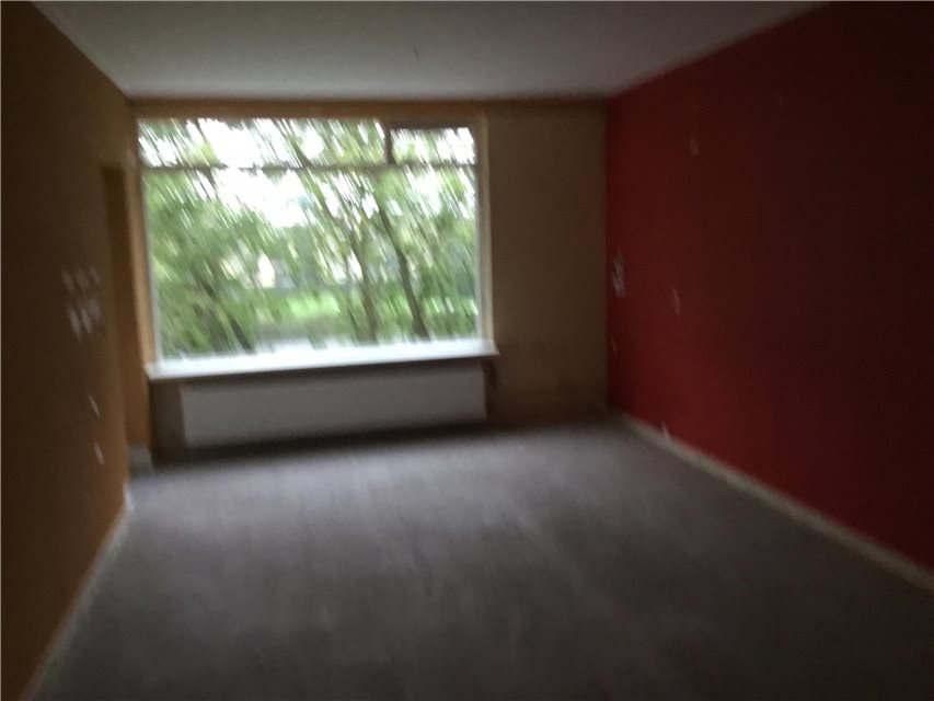 👩‍🦯✏️Maureen📚🦯 tweet media