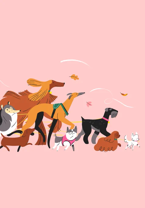 I cannot escape this colour palette + autumn + dogs  