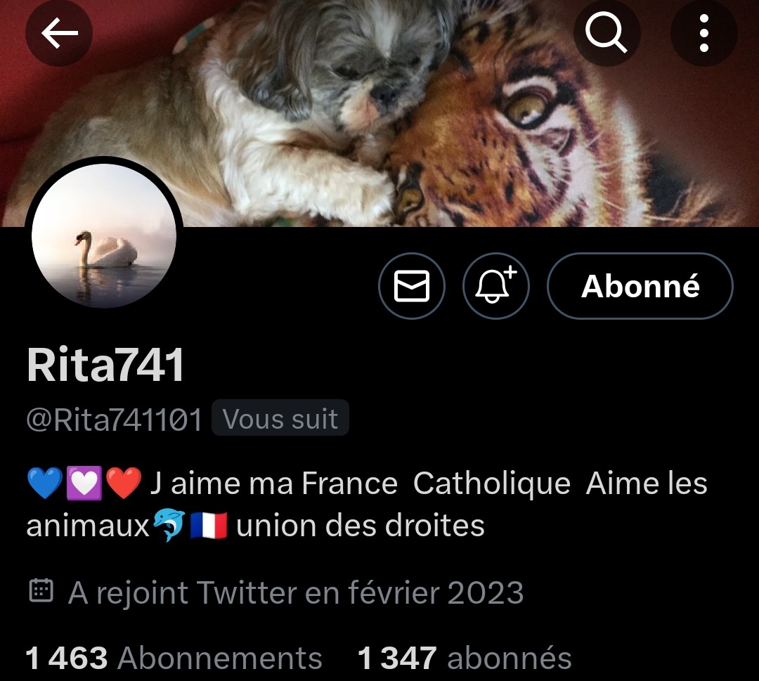 INFO🚨Mes amis abonnés😉Ainsi que l'équipe #JambonBeurre 🇨🇵
Notre amie   <a href="/Rita741101/">Rita741</a> 👍Aurait besoin d'un petit coup de pouce pour grossir sa TL!Et ainsi lui donner plus de visibilité!Merci de vous abonner à elle🙏!Merci et n'oubliez pas!Tous ensemble nous sommes plus forts!🇨🇵