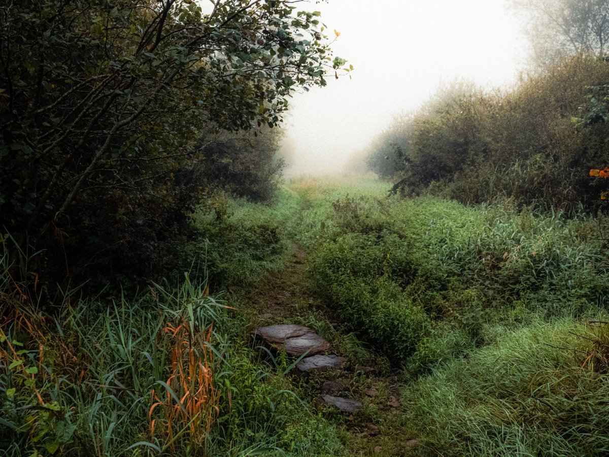 artofseanmurphy's tweet photo. Getting Lost In Paradise https://t.co/HPnY2MXFUP