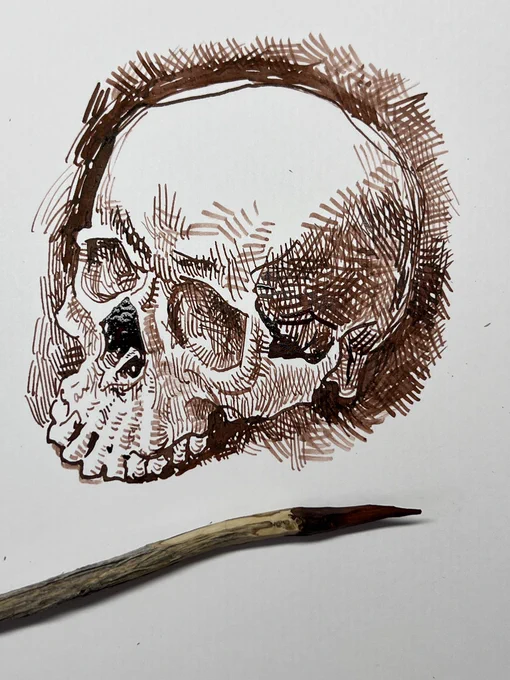 Skull drawn with a stick 