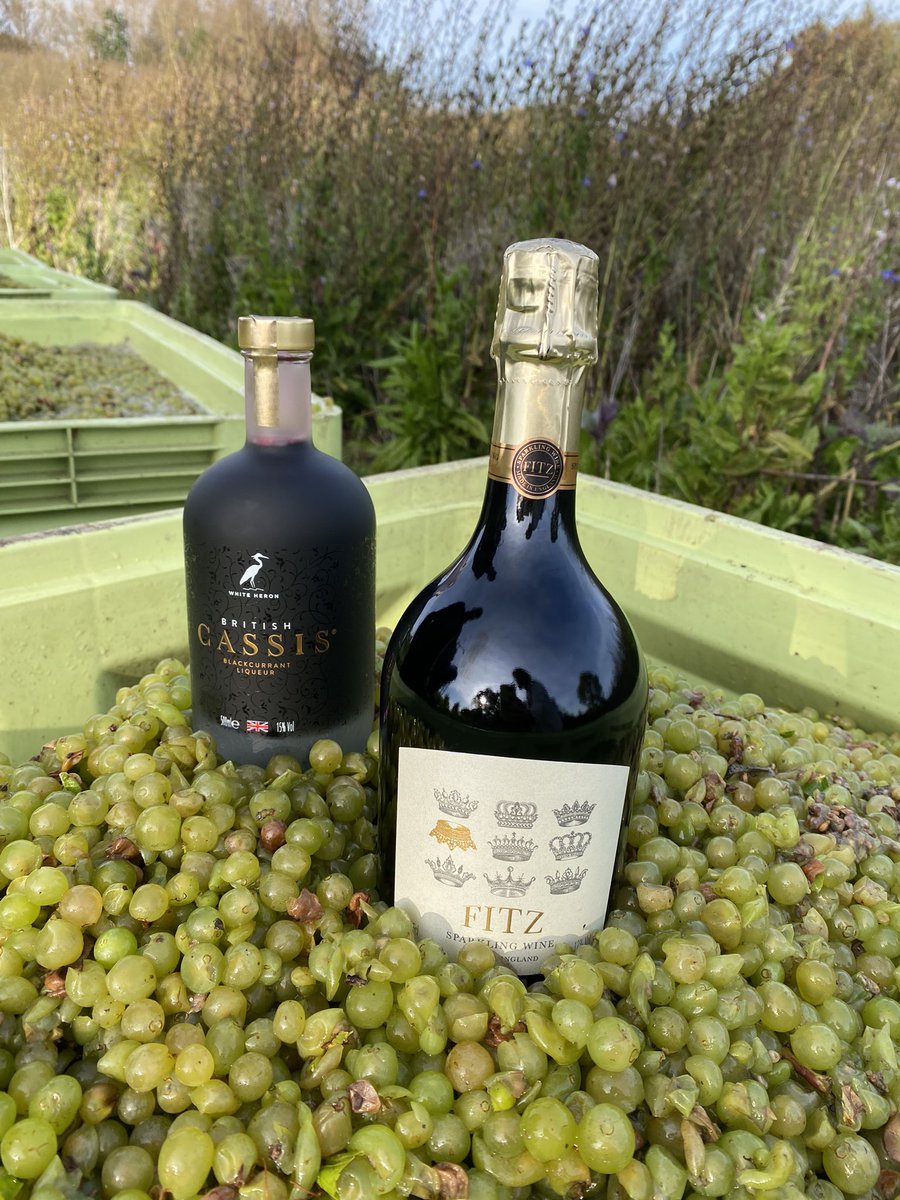 A perfect match for a perfect Kir Royale. Grapes are to Fitzwine as Fitzwine is to British Cassis. Bushes to bottle!