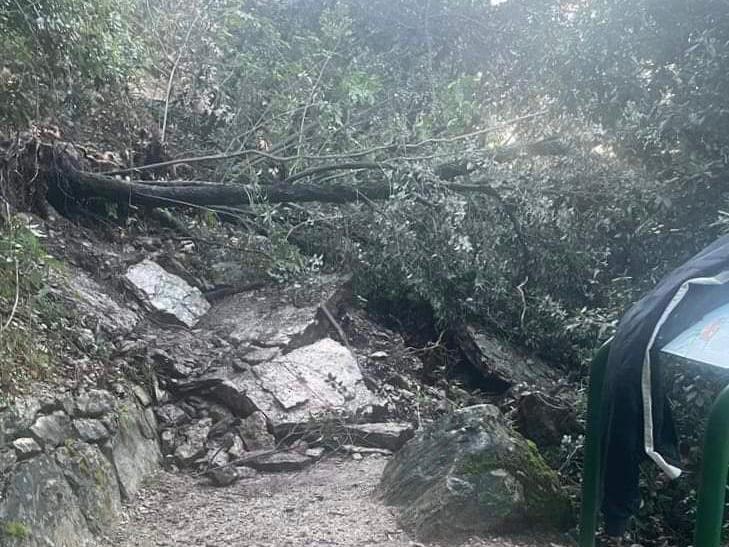 pivettiladige's tweet photo. #Trentino, un'altra frana importante sul #Garda. Travolto il sentiero #BusatteTempesta e chiusa la sottostante #Gardesana Orientale in via precauzionale. Disagi importanti per i collegamenti tra #Riva, #Malcesine e #Brenzone. Domani su @giornaleladige https://t.co/rMJuPne4pL