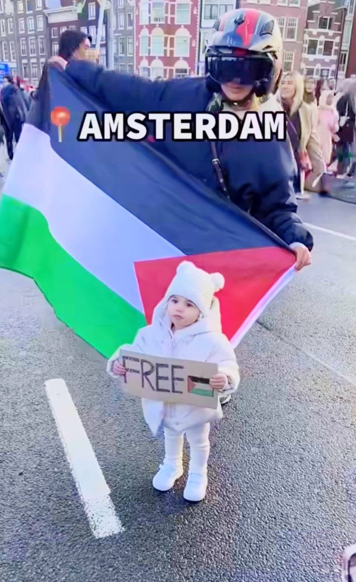 Dr. LilyFayed🇵🇸 tweet media