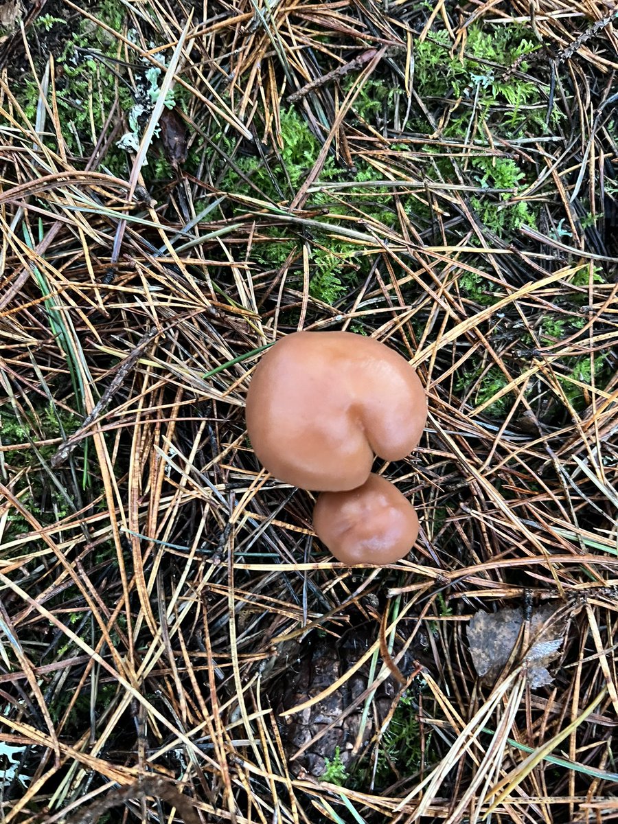 Alice Sanders tweet media