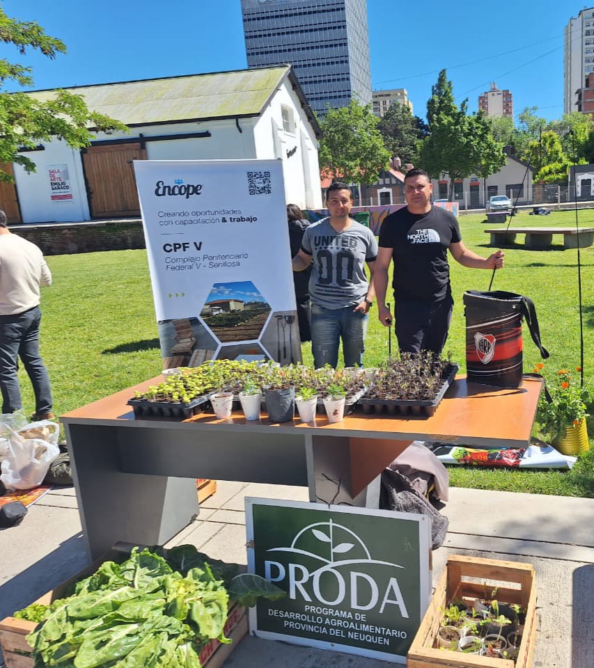 encope_spf's tweet photo. 𝗙𝗘𝗥𝗜𝗔 𝗗𝗘 𝗔𝗚𝗥𝗜𝗖𝗨𝗟𝗧𝗨𝗥𝗔 𝗨𝗥𝗕𝗔𝗡𝗔🌱

En el marco del Programa de Desarrollo Agroalimentario, agentes del CPF V, presentaron un stand para la venta de plantines agroecológicos 100% naturales y sin agrotóxicos,  fruto del trabajo de los privados de libertad 👏 https://t.co/8ODQWf2XSs