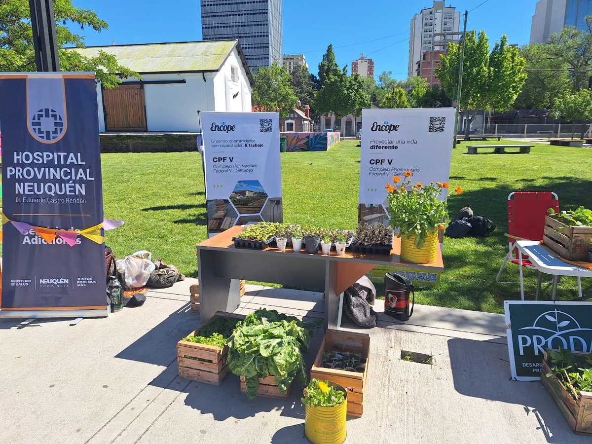 encope_spf's tweet photo. 𝗙𝗘𝗥𝗜𝗔 𝗗𝗘 𝗔𝗚𝗥𝗜𝗖𝗨𝗟𝗧𝗨𝗥𝗔 𝗨𝗥𝗕𝗔𝗡𝗔🌱

En el marco del Programa de Desarrollo Agroalimentario, agentes del CPF V, presentaron un stand para la venta de plantines agroecológicos 100% naturales y sin agrotóxicos,  fruto del trabajo de los privados de libertad 👏 https://t.co/8ODQWf2XSs