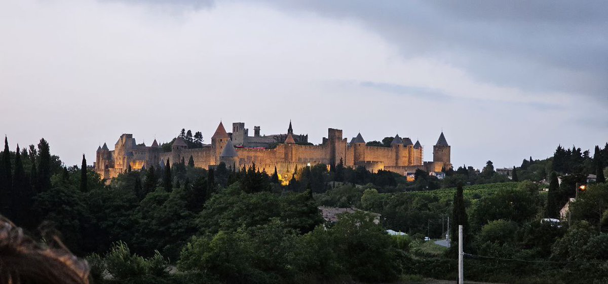 AnthroSud's tweet photo. Retour sur le Fur d’Artifice de Carcassonne organisé par Anthro’Sud le 14 juillet 2023.

Le domaine du lycée Charlemagne nous a offert une vue imprenable sur la cité de Carcassonne !

Grâce à la contribution de tous, nous avons pu organiser une auberge espagnole.

📸 @Emanonkhh https://t.co/cjGK7Rj1Ze