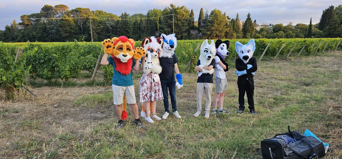 AnthroSud's tweet photo. Retour sur le Fur d’Artifice de Carcassonne organisé par Anthro’Sud le 14 juillet 2023.

Le domaine du lycée Charlemagne nous a offert une vue imprenable sur la cité de Carcassonne !

Grâce à la contribution de tous, nous avons pu organiser une auberge espagnole.

📸 @Emanonkhh https://t.co/cjGK7Rj1Ze