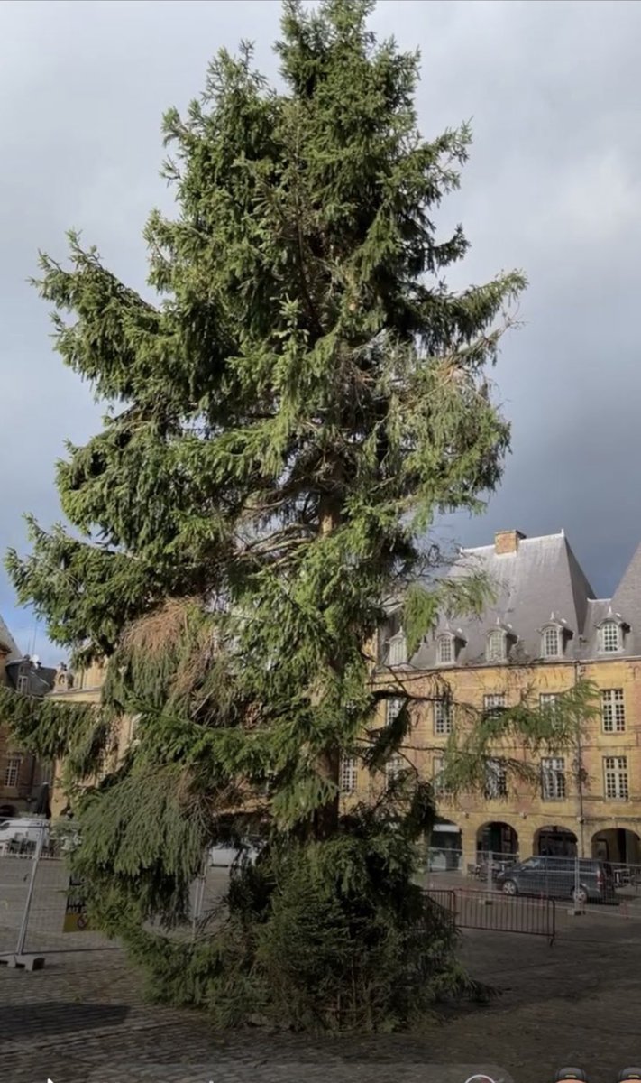 FredIberraken's tweet photo. Voici notre beau et majestueux sapin Place Ducale pour les fรชtes ร @VilledeCMz
รa fait rรชverโฆ๐คฉ๐
๐ซ
#HalloweenTree
#SapinWish https://t.co/FcbI7EnFYC