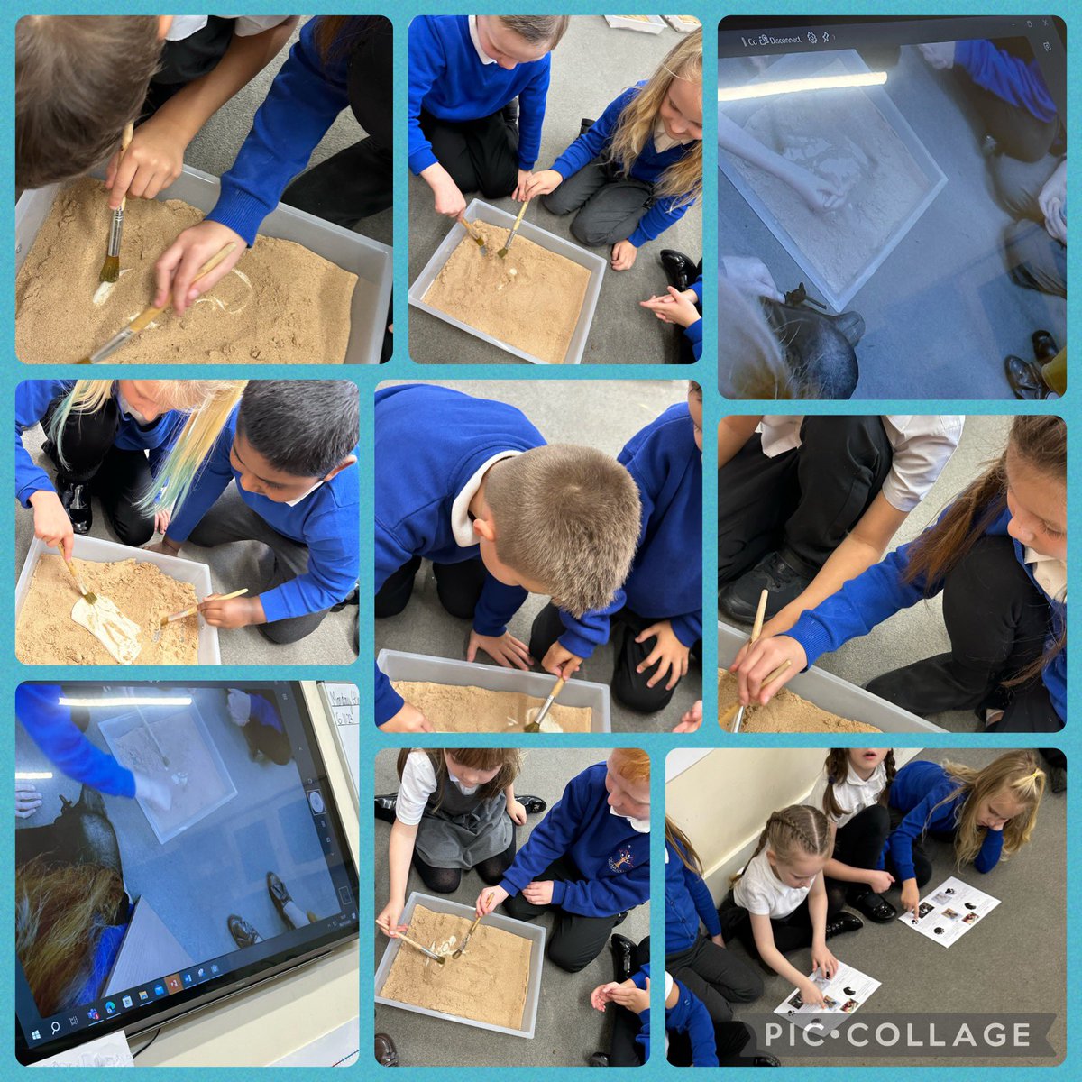 Highgateacademy's tweet photo. Today in Darwin class we identified mysterious footprints. We used our visualiser so that the class could identify features like claws and feathers on the prints. We still have one mysterious print to identify… @theliteracytree #hookwithabook https://t.co/iXAI6sIXWW