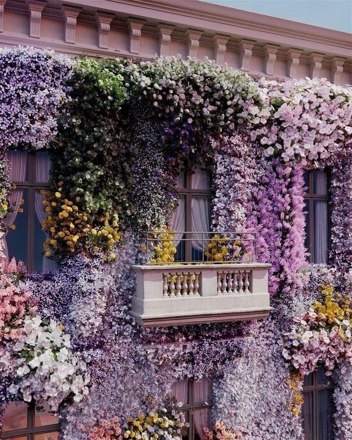 i want to live here.