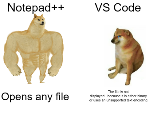 Notepad++ vs VS Code