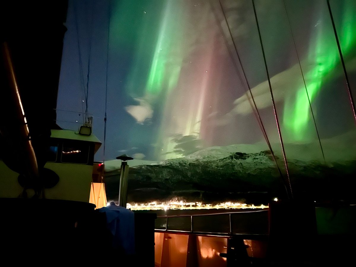 WorldSeaExplor1's tweet photo. Last night our Northern Lights cruise became a cosmic spectacle we'll never forget! #auroraborealis #arctic #norway #travel https://t.co/Rr9zmnAxGV