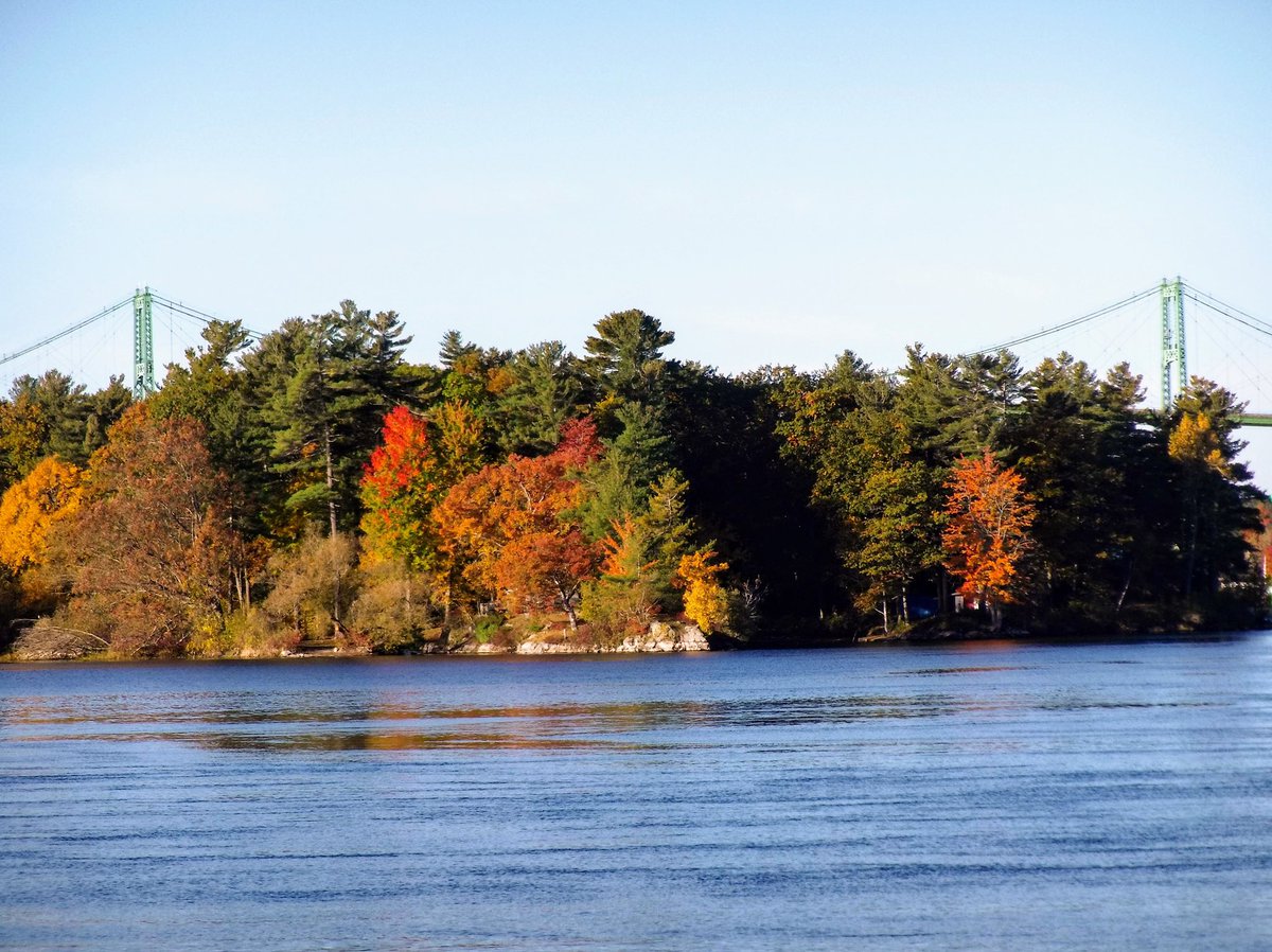 Fall-ing in love with #photograghy? Submit your #stlawrenceriver photos for our calendar using the 🔗in our bio!
