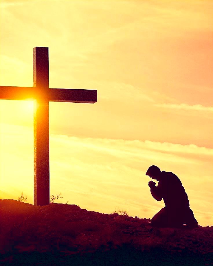 ⭐️💫Bonsoir Amis Patriotes🇫🇷💫⭐️
Prenez bien soin de vous , bonne nuit 😘☮️

✒︎ TU T'APERCEVRAS QUE TU ES DEVENU TOI LORSQUE TU SERAS DÉTACHÉ DE L’AVIS  D'AUTRUI ET QUE
TU AVANCERAS, SEREIN, VERS TES PROPRES CHOIX.

#ProtegeonsNosEnfants
#LaFrancePrie #FrançaisRéveillezVous