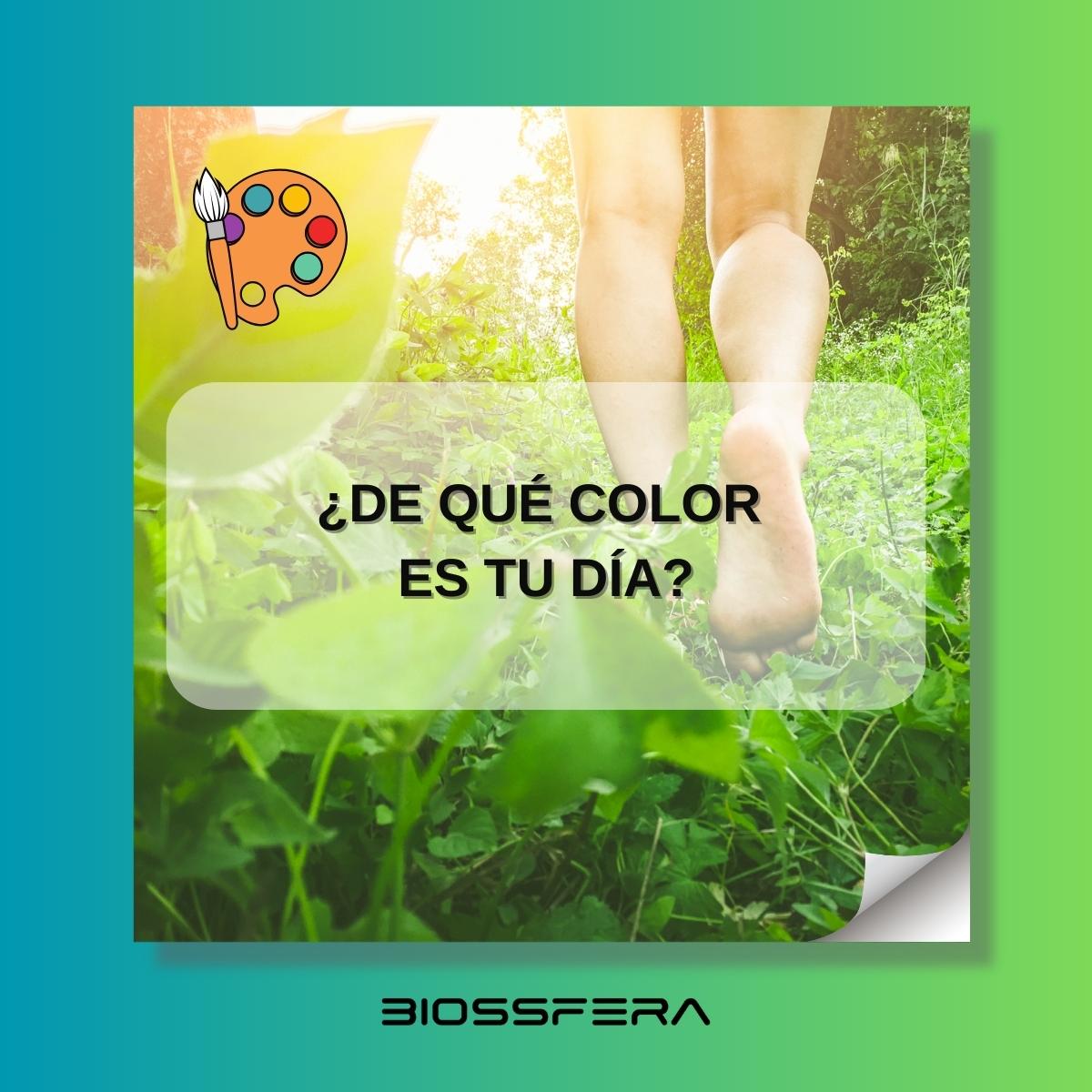 BiossFera tweet media