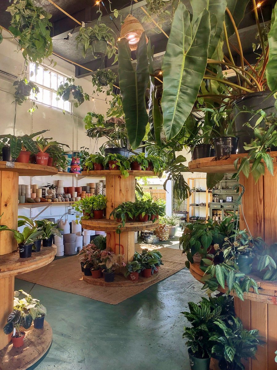 It's a jungle in here