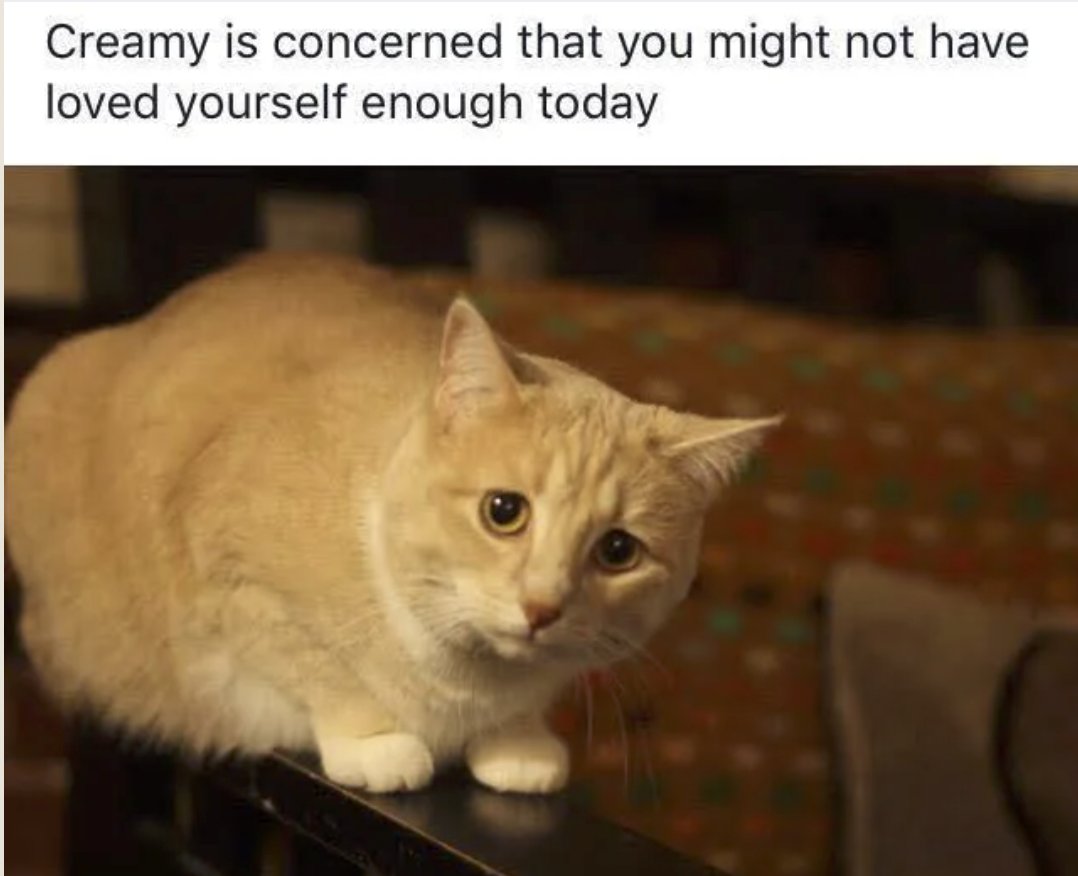 RespectfulMemes's tweet photo. https://t.co/SaYvbDInnv