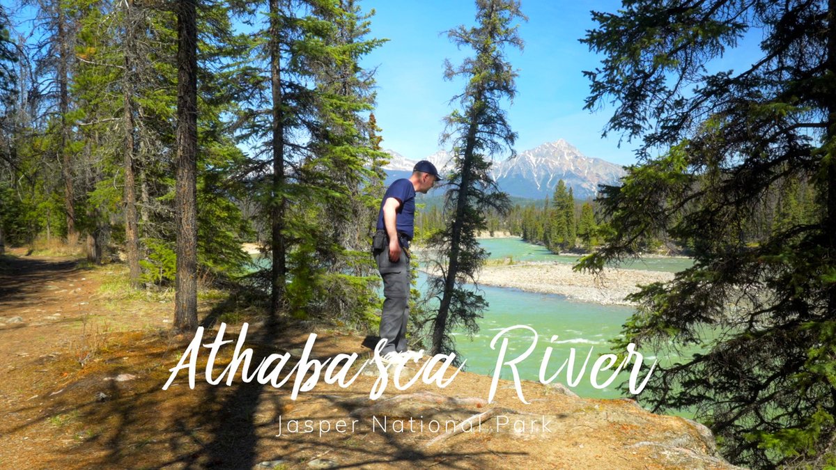 EricTAdventures's tweet photo. The amazing views you'll find staying at the Wapiti Campground in Jasper National Park
#jnp #jaspercamping #campjasper #campinginjasper #jaspernationalpark #jasperalberta #camping #campingtips #campgroundreviews #wapiticampground #wapiticamp #tekarra #signalmountain #mounttekarra https://t.co/ZnRQxzoo0w