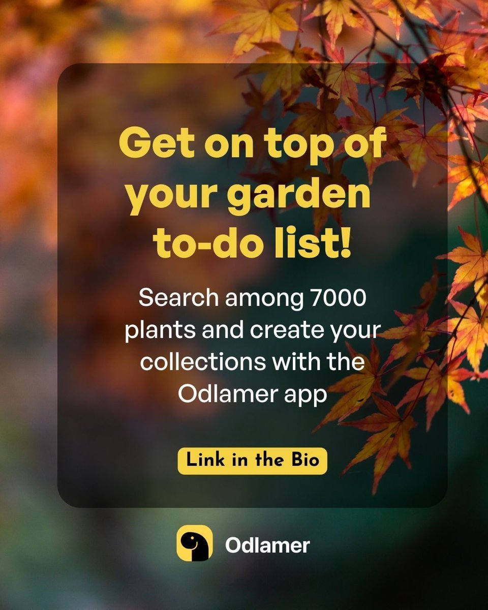 🇬🇧 🌿 Embrace the chilly weather with exciting November garden projects! From small tasks to ambitious ventures, we've compiled a list to keep you busy in the garden for November. Find in-depth tips on our app—download now! 

#NovemberGardening #GardenProjects #DIYGarden