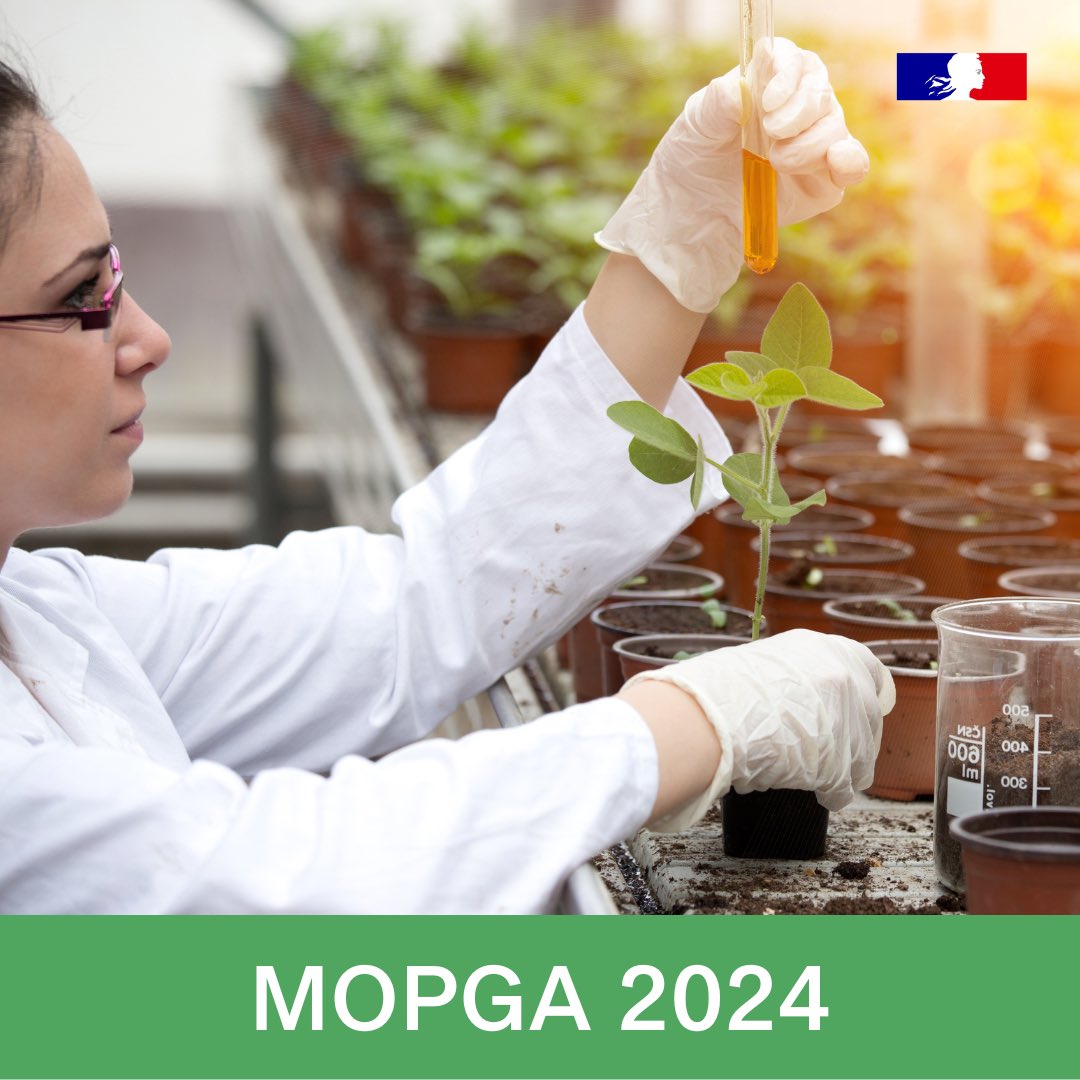 🌍 The call for applications for the 2024 #MOPGA fellowship program is open. A minimum of 40 grants will be awarded to international, early career researchers working on topics related to climate change and environment. 📅 Deadline: January 9, 2024 🔎 swll.to/iYTh68