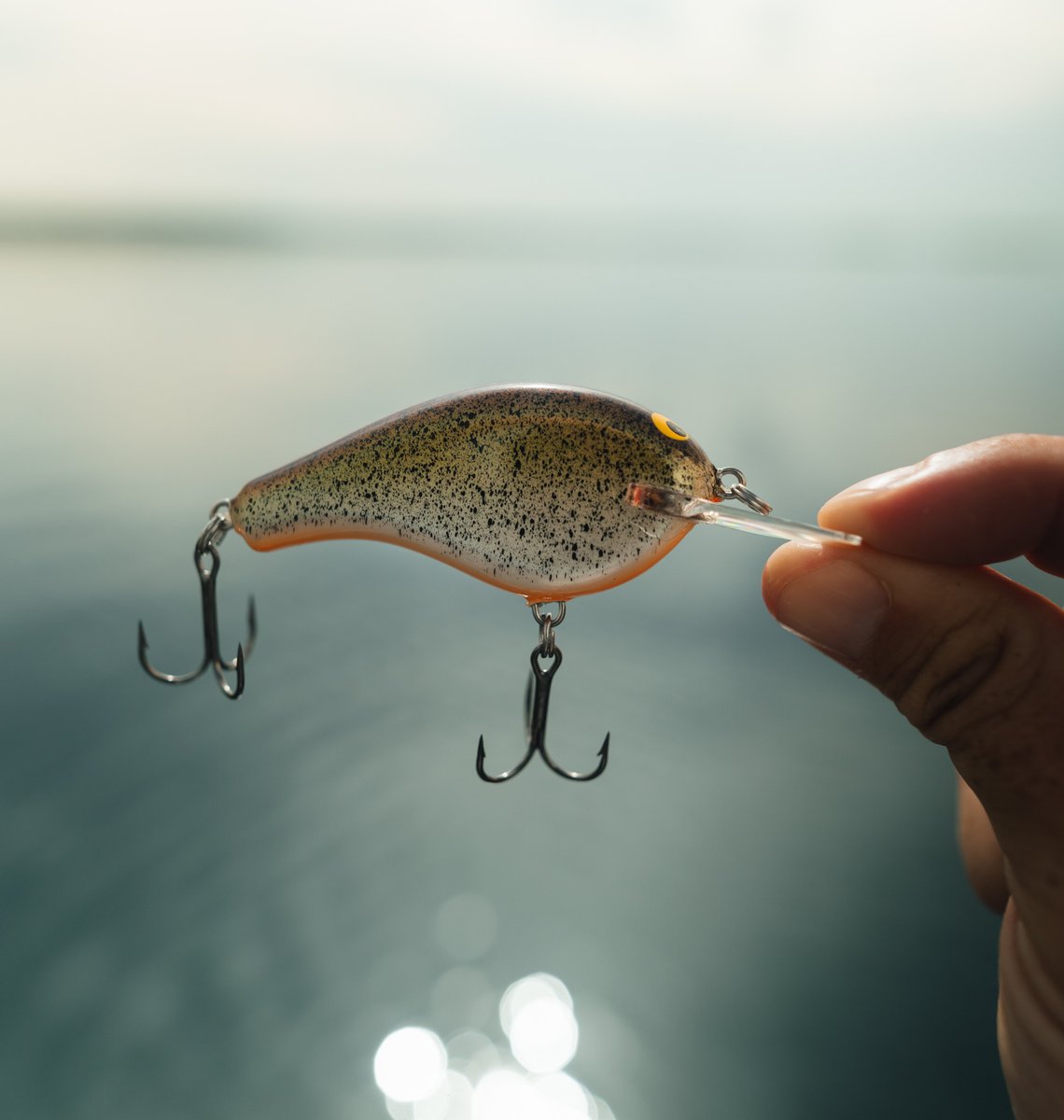 Bagley Baits tweet media