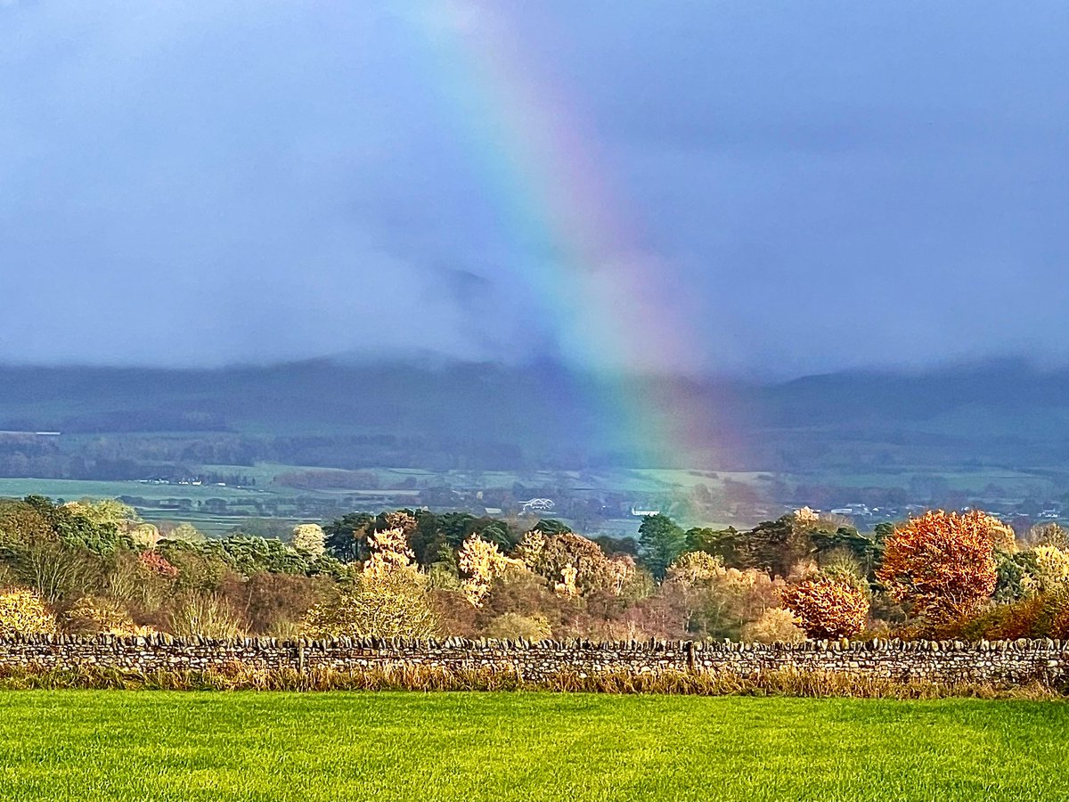 faerymere's tweet photo. #LeopardAppaloosa horse, silhouette and rainbow - features of a trip out to #LongMeg stone circle.
#Monday #EdenValley #Cumbria
@StormHour @ThePhotoHour https://t.co/v7l5PbhwR1