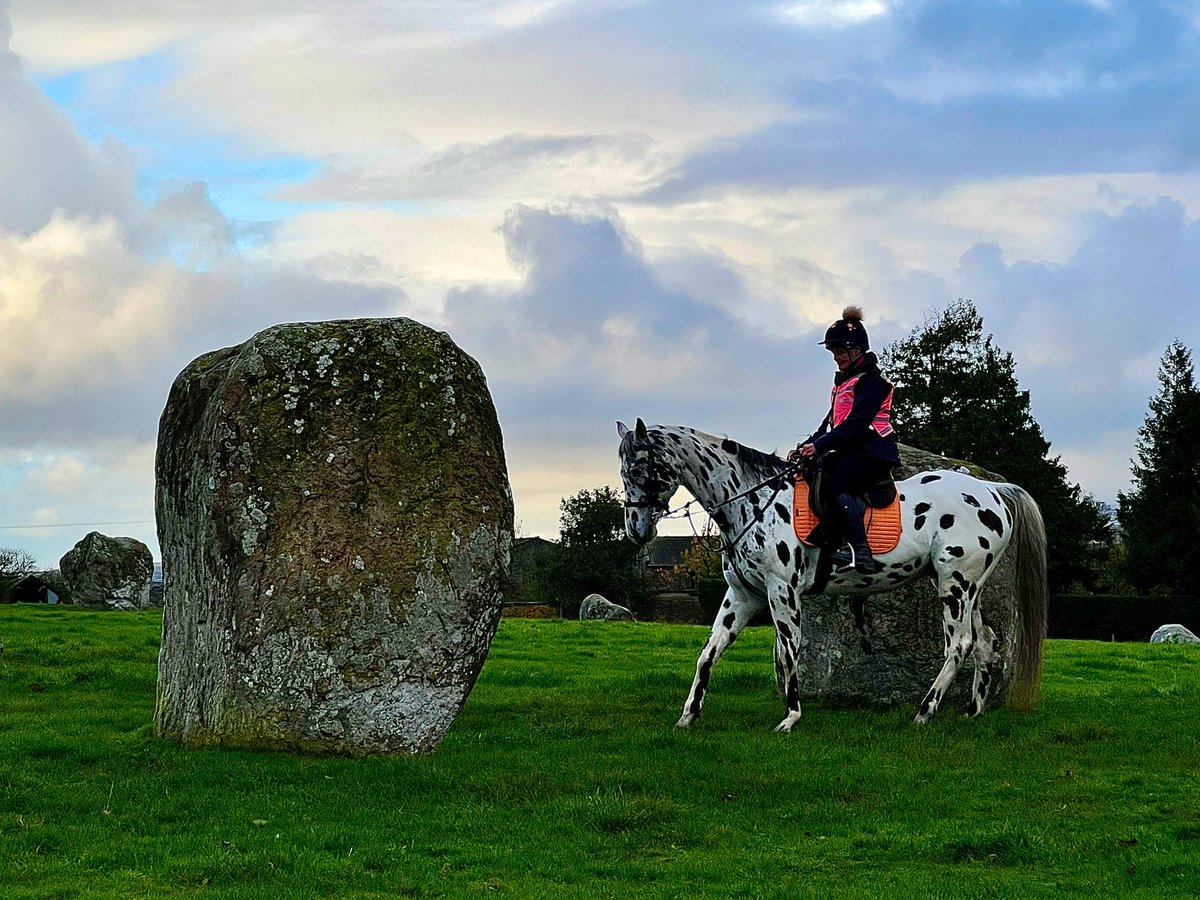 faerymere's tweet photo. #LeopardAppaloosa horse, silhouette and rainbow - features of a trip out to #LongMeg stone circle.
#Monday #EdenValley #Cumbria
@StormHour @ThePhotoHour https://t.co/v7l5PbhwR1