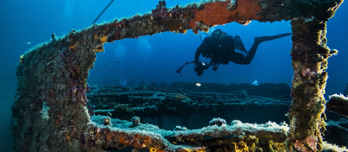 DAN_Europe's tweet photo. A team of DAN divers take us for a dive in the extraordinary underwater park near Gallipoli in northwestern Turkey, to explore historical WW! shipwrecks and marine life ranging from recreational to technical depths ๐ https://t.co/8F5k9Ikqck
-
#AlertDiver #DAN https://t.co/VJapVduSwR