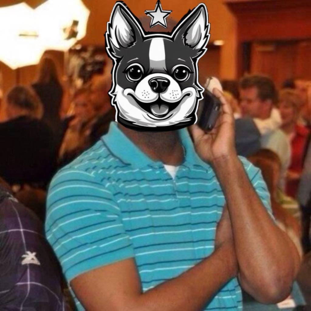 GrokDogeX tweet media