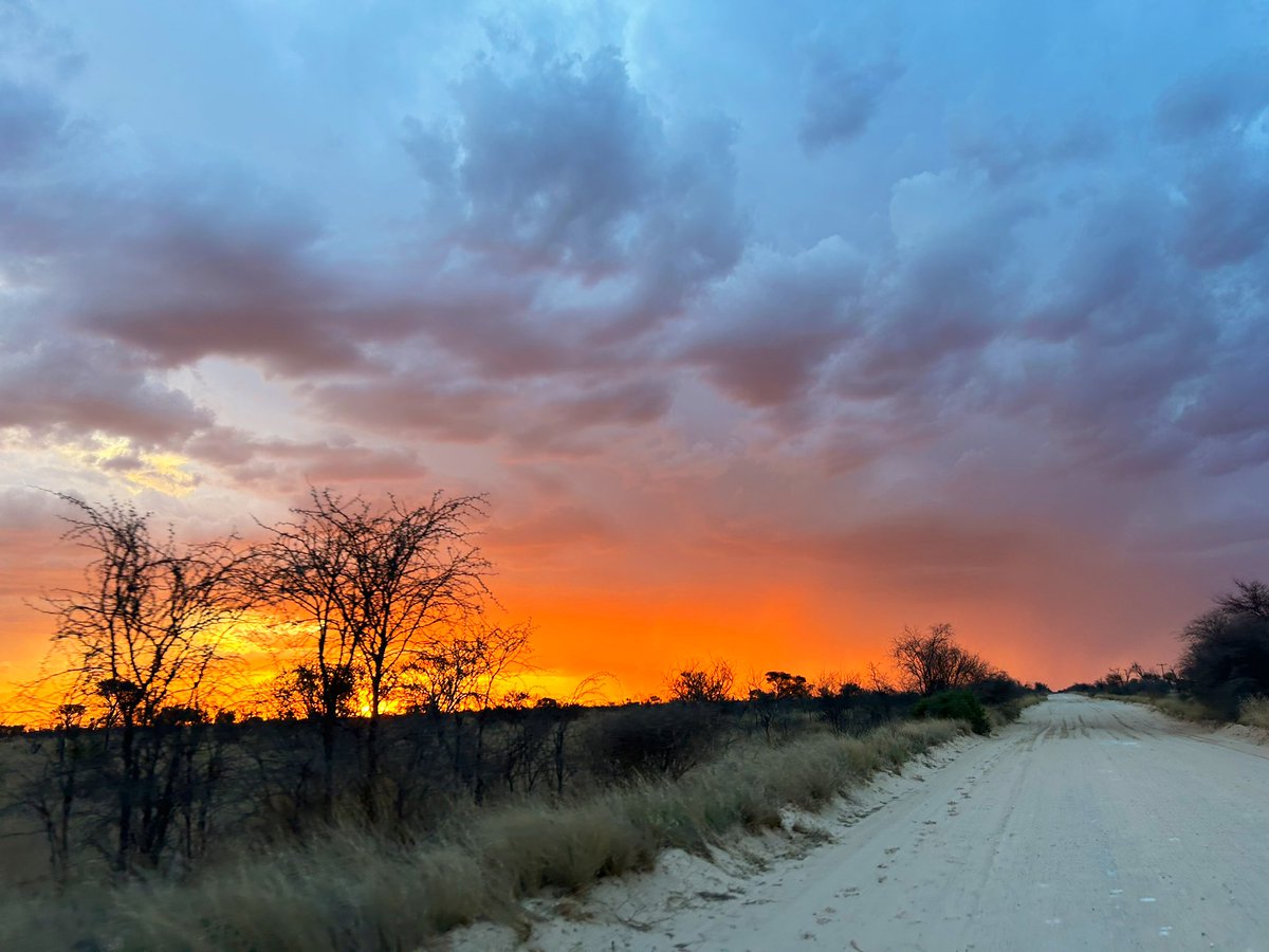 ThaboDithakgwe's tweet photo. Chasing sunsets 🌅 https://t.co/TKpOIf8Fh0