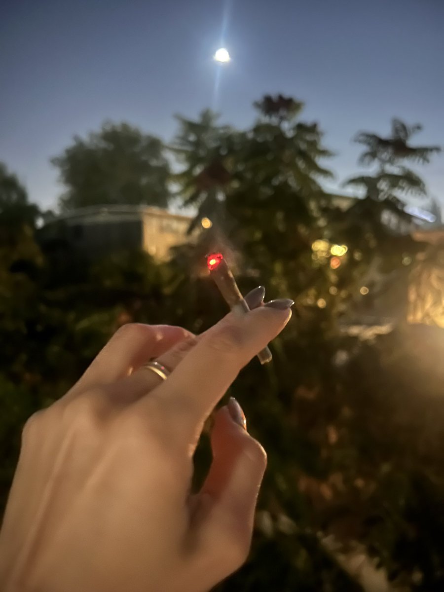 bluedreamzla's tweet photo. 大麻を吸って寝る前に一息つく。この時間に色々自分と答え合わせしてるなーって昨日思った。自分と向き合う時間。何が欲しいの？何がしたいの？何が私にハッピーをくれるの？この眠りにつく前の小一時間のおかげで、明日もがんばれる。 https://t.co/evXYCN1ih1