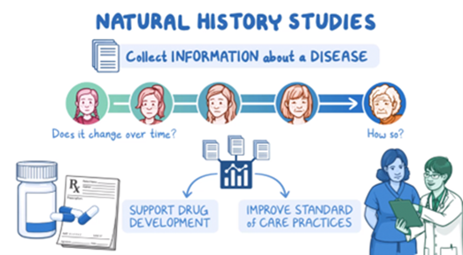 What are natural history studies, and how do they relate to clinical trials and registries? Learn all about this in our online course, '#RareDisease Drug Development: What Patients and Advocates Need to Know.' Start learning here: bit.ly/460MKjR