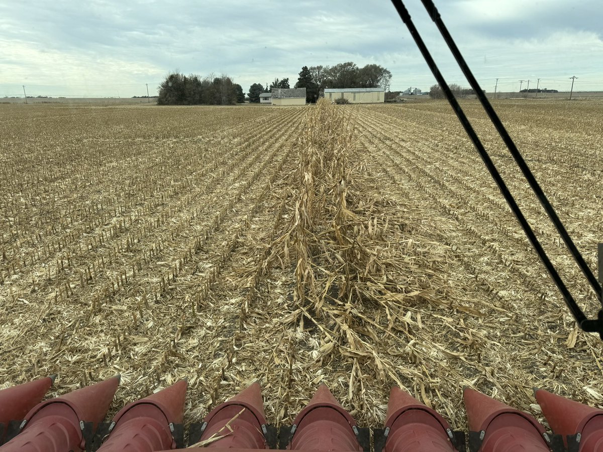 Cale Carlson tweet media