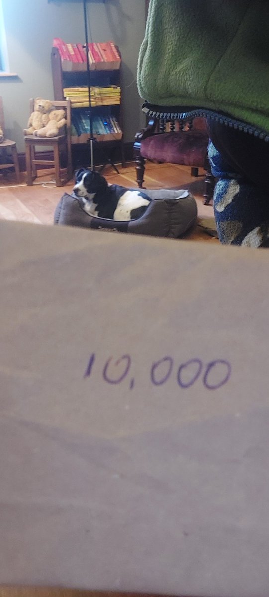 Lorna Sixsmith tweet media