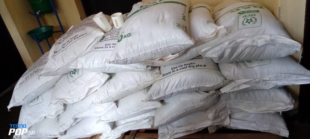 YEAN - Agriculture Extension & Advisory Services (@yean_agro) on Twitter photo Today we collaborated with the leadership of <a href="/Kamonyi/">Kamonyi District</a> to distribute and apply - in maize fields- government provided fertilizers. The activity aims at supporting farmers apply adequate agriculture practices to boost crop performance and yield to maximize productivity in season A. Today we collaborated with the leadership of <a href="/Kamonyi/">Kamonyi District</a> to distribute and apply - in maize fields- government provided fertilizers. The activity aims at supporting farmers apply adequate agriculture practices to boost crop performance and yield to maximize productivity in season A.