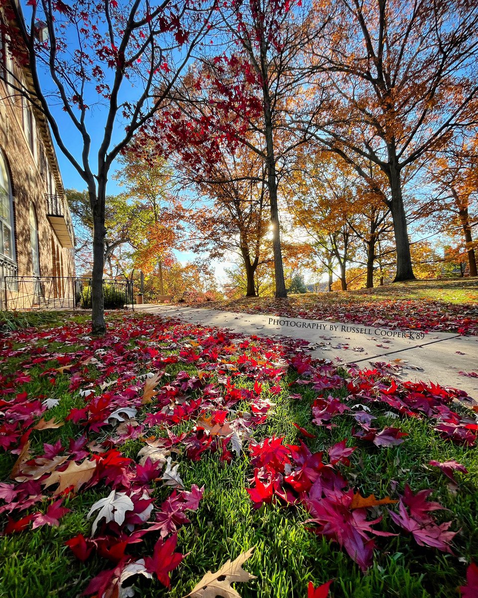 bellzatk's tweet image. Fall Week 8
@kcollege
.
.
.
#KalamazooCollege 
#KCollege 
#FallQuarter