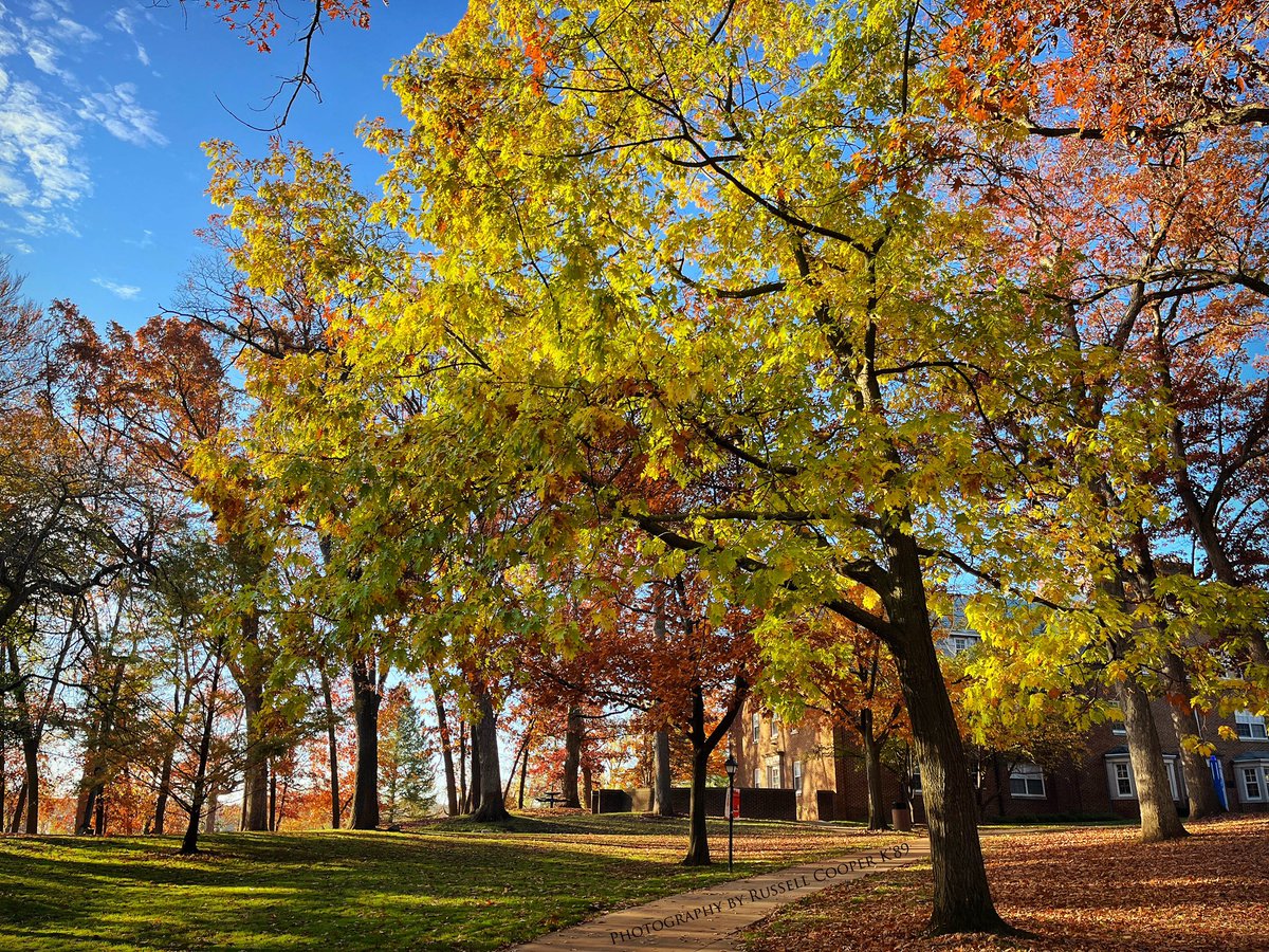 bellzatk's tweet image. Fall Week 8
@kcollege
.
.
.
#KalamazooCollege 
#KCollege 
#FallQuarter
