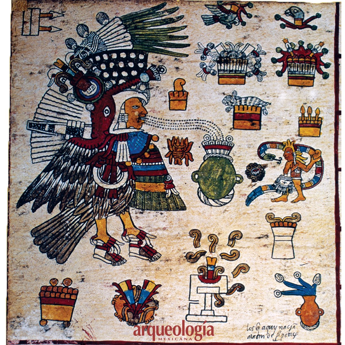 Arqueomex_'s tweet photo. Tezcatlipoca, una de las deidades principales del panteón nahua, recibe una ofrenda de pulque. El dios está disfrazado como guajolote y en la cabeza tiene la insignia que lo distingue como el Bebedor Nocturno, uno de los nombres secretos de Tezcatlipoca. Códice Borbónico, p. 17. https://t.co/YB6dnSLG1U