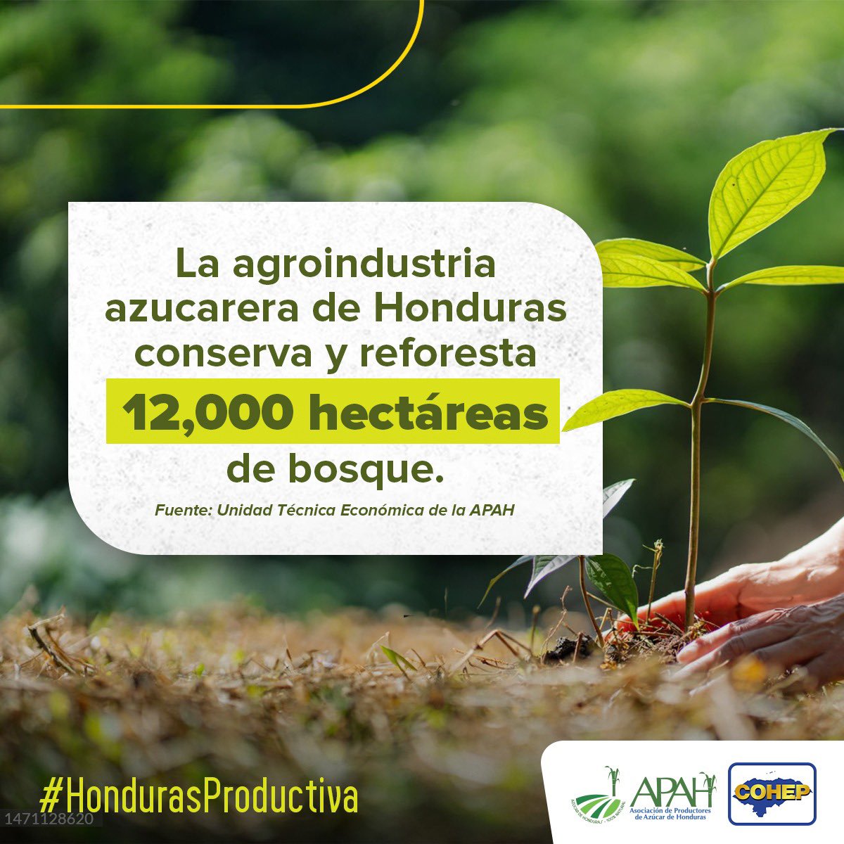 COHEPHonduras's tweet photo. #HondurasProductiva La  agroindustria azucarera impulsa el desarrollo de #Honduras, es una fuente de ingresos y empleo y desempeña un papel fundamental en la diversificación de la economía y en el desarrollo de las áreas rurales a través de los programas de RSE y de infraestructura comunitaria. @APAH_org #SomosVidaParaHonduras #DulceVida