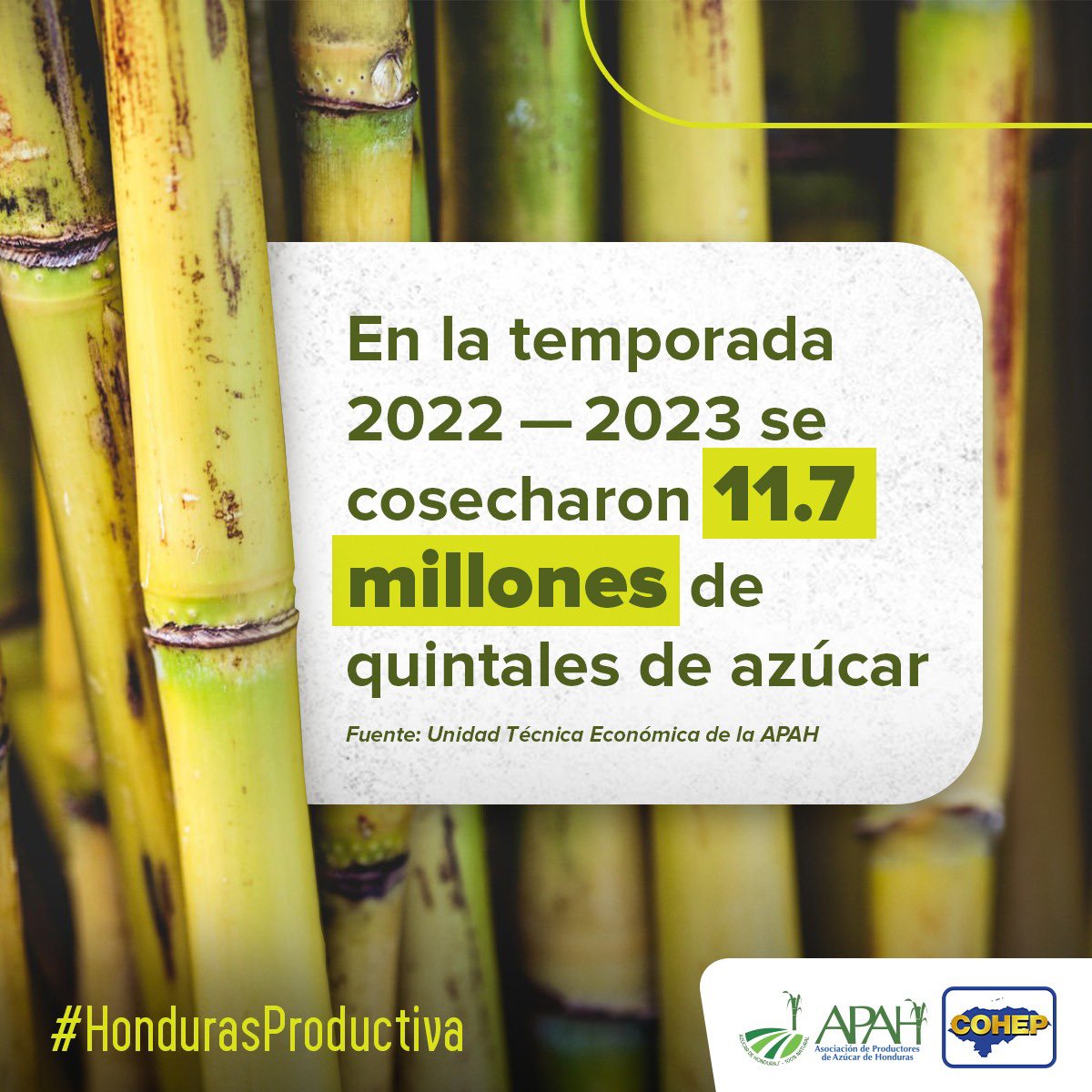 COHEPHonduras's tweet photo. #HondurasProductiva La  agroindustria azucarera impulsa el desarrollo de #Honduras, es una fuente de ingresos y empleo y desempeña un papel fundamental en la diversificación de la economía y en el desarrollo de las áreas rurales a través de los programas de RSE y de infraestructura comunitaria. @APAH_org #SomosVidaParaHonduras #DulceVida