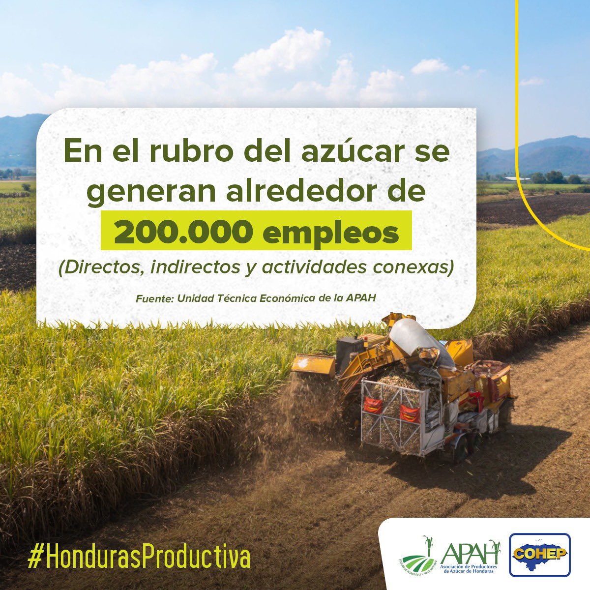 COHEPHonduras's tweet photo. #HondurasProductiva La  agroindustria azucarera impulsa el desarrollo de #Honduras, es una fuente de ingresos y empleo y desempeña un papel fundamental en la diversificación de la economía y en el desarrollo de las áreas rurales a través de los programas de RSE y de infraestructura comunitaria. @APAH_org #SomosVidaParaHonduras #DulceVida