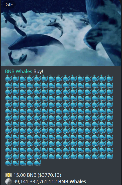 Here Is 15 BnB Buyback We are here for the long term. We will try our best for BNB whales goals, and we will do buyback whenever needed.

Link: bscscan.com/tx/0x9d341315b…

Total buybacks until now 135 BNB 🔥🔥🔥🔥

buybacks and burn proof bnbwhales.gitbook.io/bnb-whales-buy…

#BNBWhales #WHALES