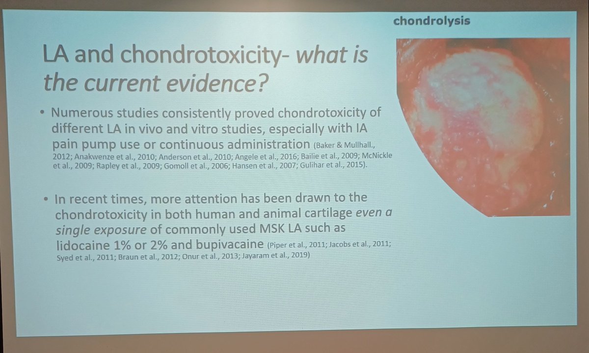 Dr Amanda Hensman-Crook PHD tweet media