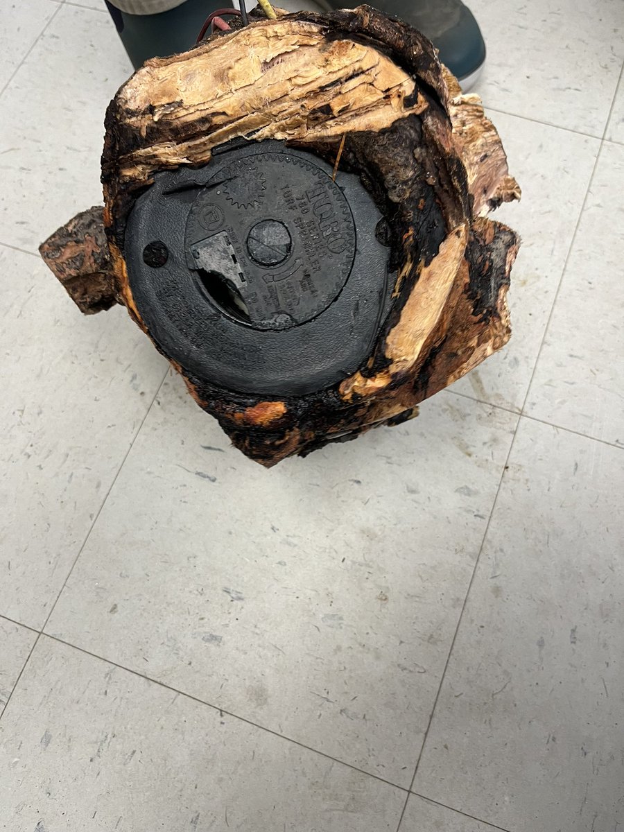 Rick Stafford tweet media