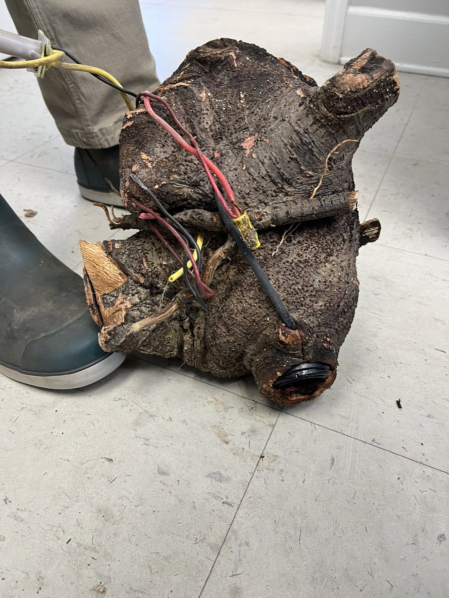 Rick Stafford tweet media