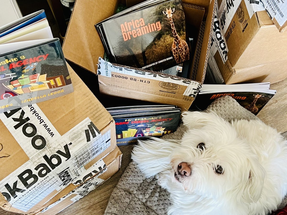 PerfectParker4's tweet photo. Mom is loading her books into the car… LOTS of books. Oh! And buds, she has a new book she forgot to share with you! (Can you see it?) More on that another time cause right now I’m jus worried bout her leaving space fur little me! #icallshotgun https://t.co/Y52EKMpInP