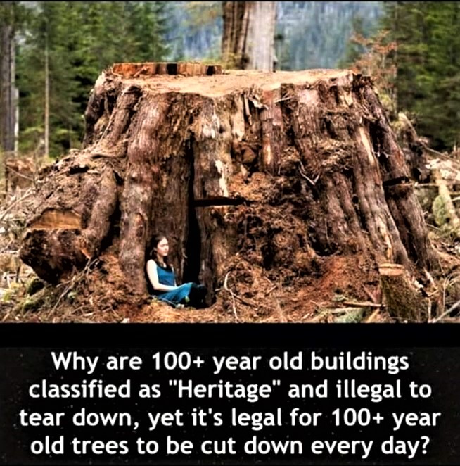 Greenisamissio1's tweet photo. Night thoughts

Without pointing the finger at anyone, this question should be allowed and requires some thought.💚🌱☘️🌿🌲🌳🍀💚 https://t.co/By1WbIAetj